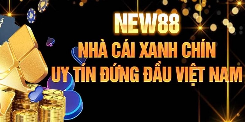 Trách nhiệm của NEW88 là tạo ra địa chỉ cá cược minh bạch, uy tín