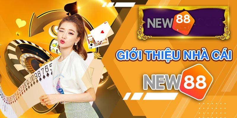 Giới thiệu cơ bản về nhà cái New88