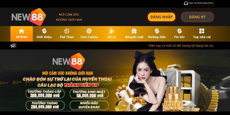 Thành viên đừng quên liên hệ CSKH New88 khi cần hỗ trợ