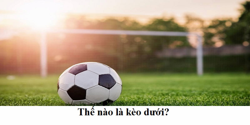 Tìm hiểu thế nào là kèo dưới?