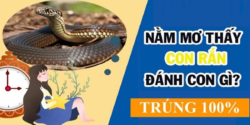 Tham khảo số đề chuẩn xác khi nằm mơ thấy rắn