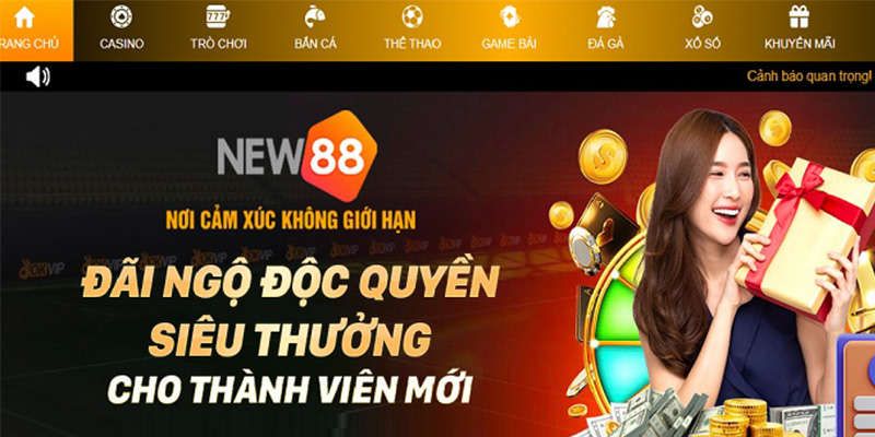 Quy định về số lượng tài khoản khi đăng ký New88